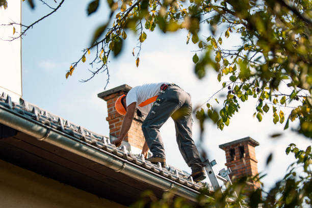 Best Local Roofing Companies  in Holly, MI