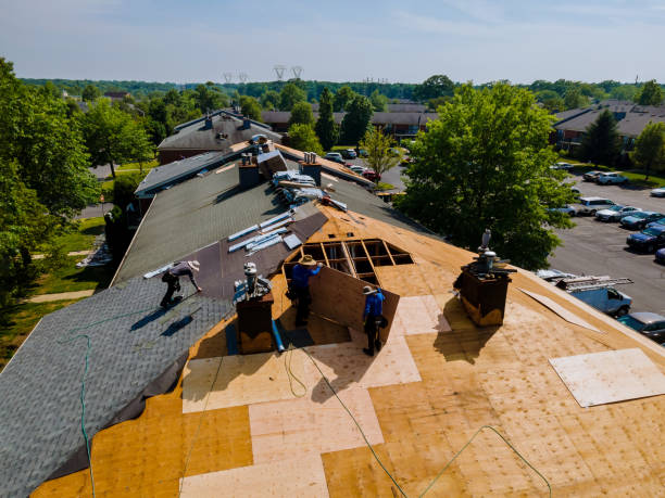 Trusted Holly, MI Roofing Contractor Experts