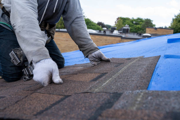 Best Best Roofing Contractors  in Holly, MI