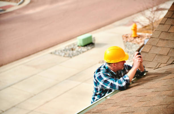 Best Best Roofing Contractors  in Holly, MI
