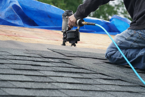 Best Roof Maintenance Services  in Holly, MI
