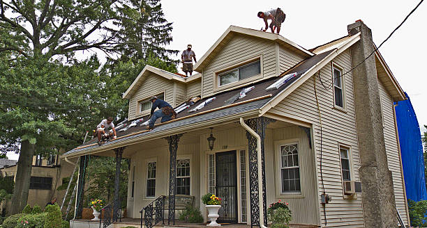Best Commercial Roofing Services  in Holly, MI