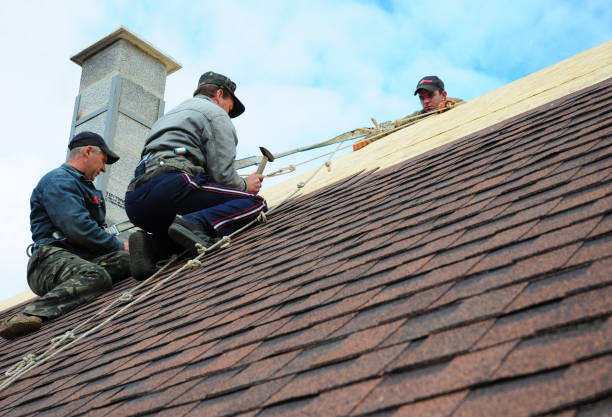 Best Roof Gutter Cleaning  in Holly, MI